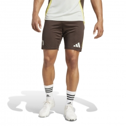 adidasJuventusTrainingsbroekjeEuropees2024-2025BruinGeelGrijs