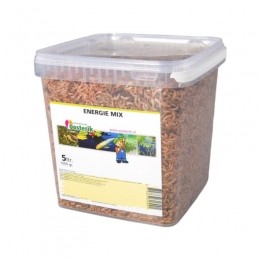 Energiemix5liter-Surencollection