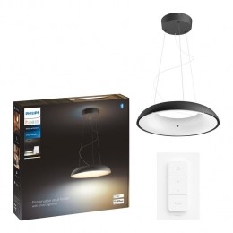 PhilipsHueAmazeHanglamp-Zwart