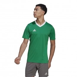 adidasEntrada22VoetbalshirtGroenWit