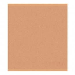 DDDDDkeukendoekLogo-50x55cm-pastelpeach-6stuks