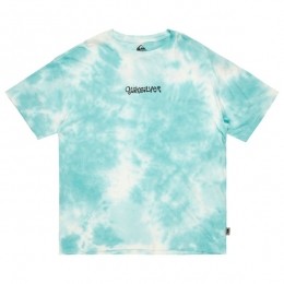 Quiksilver-TDFrogRitualSSTee-T-shirtmaatMturkoois