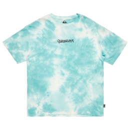 Quiksilver-TDFrogRitualSSTee-T-shirtmaatLturkoois
