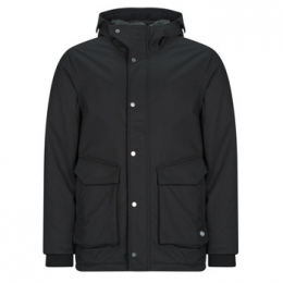 ParkaJasTeddySmithP-DONALD