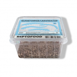 Buffalowormenbakje50mlReptofood-Aquadistri