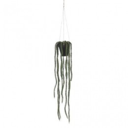 Rhipsalishangendinpotgroen-l62xd9cm-Micadecorations