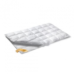 VandyckAstro904-seizoenenDekbed240x220cm