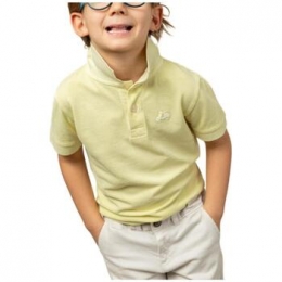 PoloShirtKorteMouwScotta-