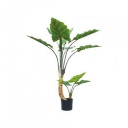 KunstplantAlocasiadikkestam120cm-Buitengewoondeboet