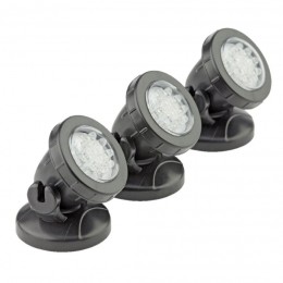 WaterlightSpotlight-Velda