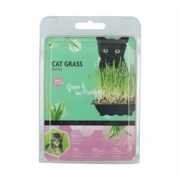 BuzzyKattengras50gr