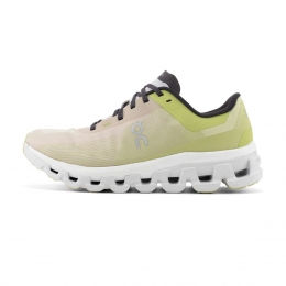 OnCloudflow4Dames
