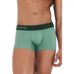 BoxersCleverGraceBoxer