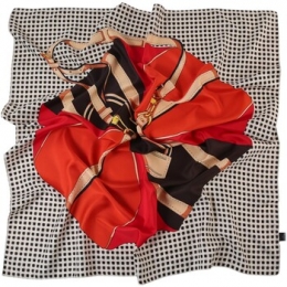 SjaalAlbertoCabaleGrotezijdenvierkantSellingZo