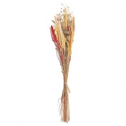 Beliani-PAMPELUNA-Droogbloemenboeket-Natuurlijk-Droogbloemen