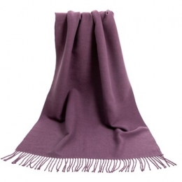 SjaalAlbertoCabalePaarsekasjmierensjaalRecto-Verso