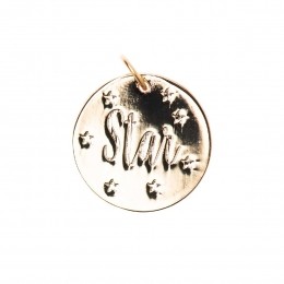 MixItUp-hangerstar17mm-goudkleurig