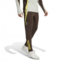 adidasJuventusTrainingsbroekEuropees2024-2025BruinGeel