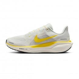 NikePegasus41dames