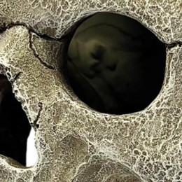 ReptoAquadistridecohumanskullxl-Aquadistri