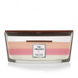 WoodWickGeurkaarsEllipseTrilogyBloomingOrchard454gr