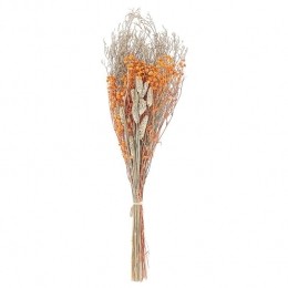 Beliani-CERCEDILLA-Droogbloemenboeket-Natuurlijk-Droogbloemen