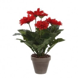 MicaDecorationsGerberaKunstplant-H35x30cm-Rood