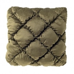 DutchDecorsierkussenSOOF-45x45cmMayfly