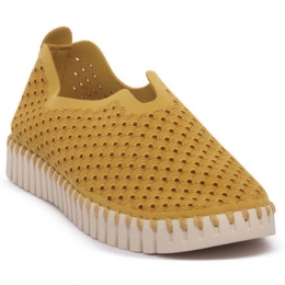 BallerinasIlseJacobsenJACOBSENGOROTULIP3275