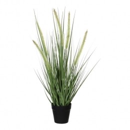 MicaDecorationsDogtailGrasKunstplant-H53x30cm-Groen