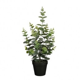 MicaDecorationsEucalyptusKunstplant-H53x23cm-Groen