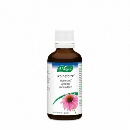 AVogelEchinaforce50ml