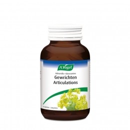 AVogelAlchemillaGlucosamine90Tabletten