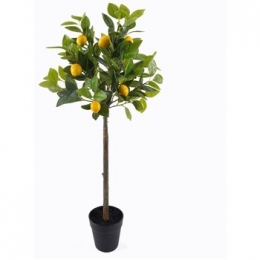KunstplantenSignesGrimaltCitroenboomM