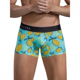 BoxersCleverLemonsBoxershorts