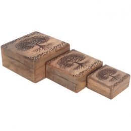 MandenendozenSignesGrimaltLifeTreeBoxes3U