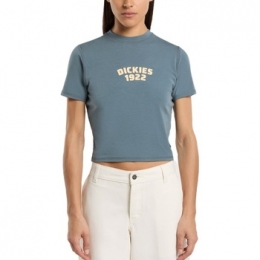 T-shirtDickiesDK0A4Z8FG701CENTERLOGO