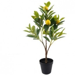 KunstplantenSignesGrimaltCitroenboomS