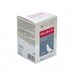 Recup-LytPoeder12Zakjes