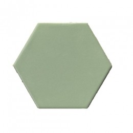 TerreDAzurHexagonalevloertegellichtgroen15x17cmhexagonF43