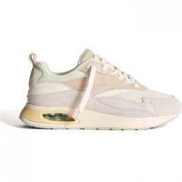 SneakersHOFFWILLIS
