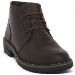 LaarzenIgIampCOFREDDYCAFFE