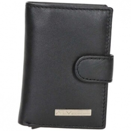 AktetasAlvieroMartiniALVP5209