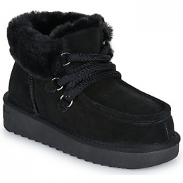 LaarzenDFranklin375NORDIC