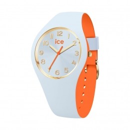 ICEWatchDameshorlogeice023278
