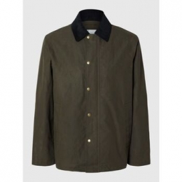 WindjackSelected16097932WALTER-GRAPELEAF