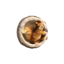 Eekhoornwandl155b6h15cm-Sid