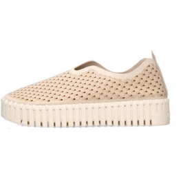 InstappersIlseJacobsenIJTULIP3373