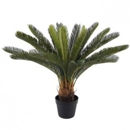 KunstplantenSignesGrimaltCica-Plant