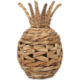MandenendozenSignesGrimaltPia-Decoratie